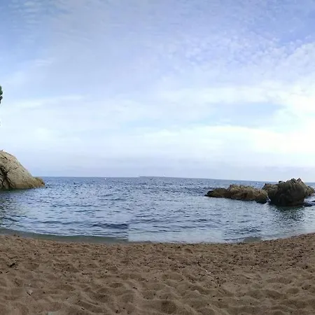 Mediterranea Con Cinco Y Piscina